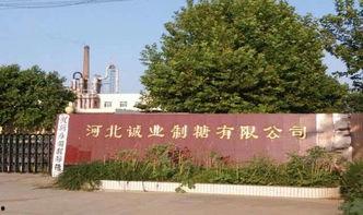 河北赵县环保最新爆料,揭秘河北赵县环境治理新进展